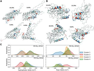 Comparative molecular dynamics simulations of pathogenic and non-pathogenic huntingtin protein monomers and dimers